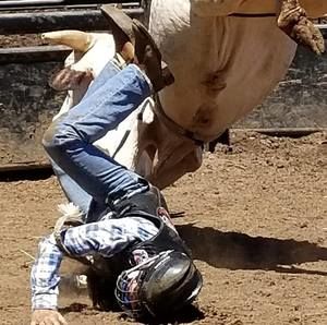 Meet your Posher, Mitchell